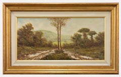 Corrado Risi (nato nel 1932) - Olio del XX secolo incorniciato, Campagne