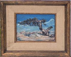 Cypress on the Rocks
