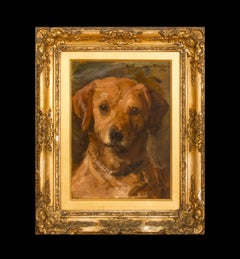 "Dale", a Labrador Retriever, dated 1894 by Charles Kay Robertson (1877-1930)