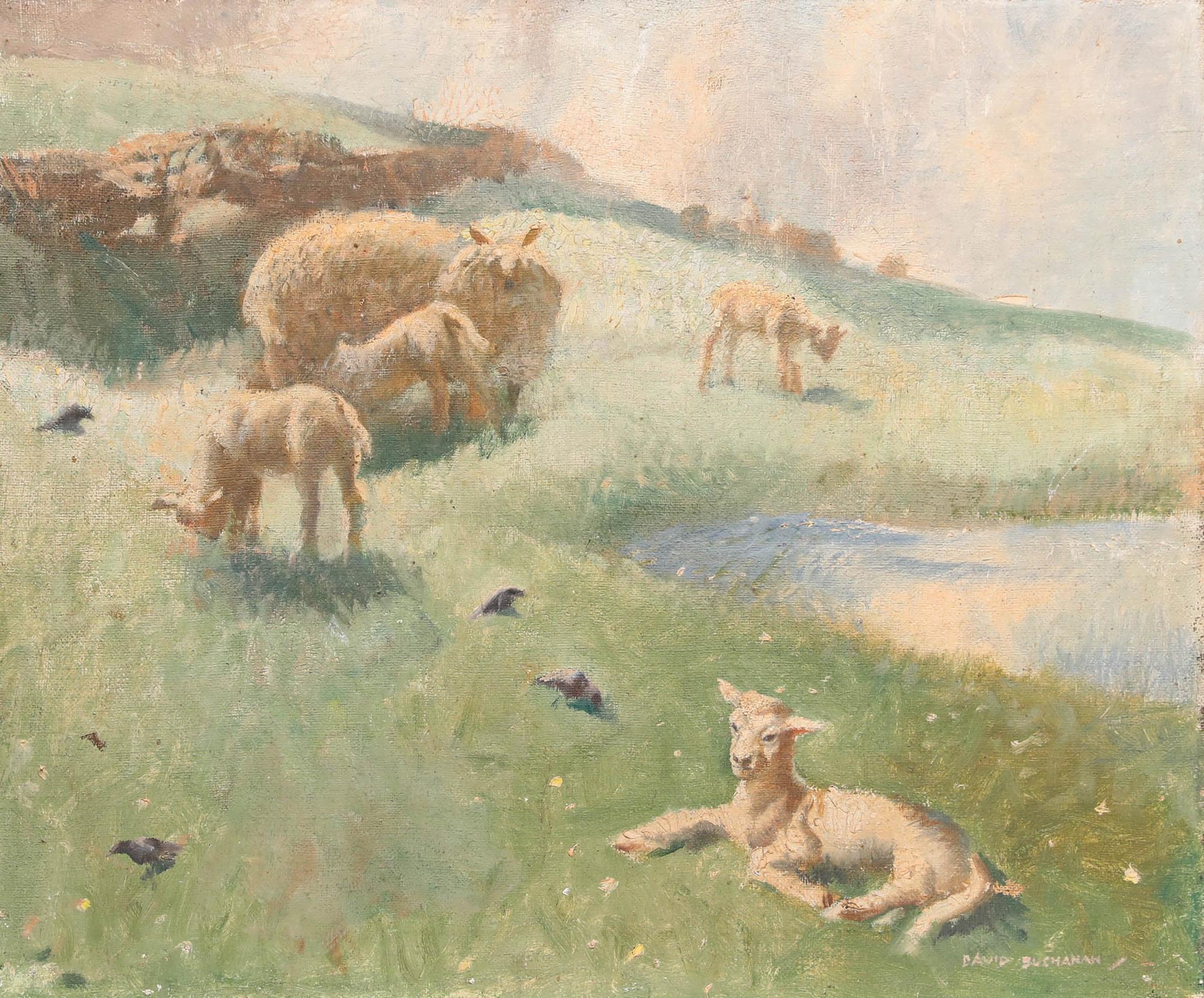 David Buchanan - Huile du milieu du 20e siècle, agneaux de printemps - Painting de Unknown