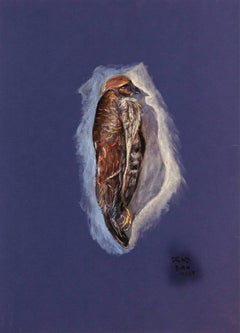 Dead bird (Hawk) by Bex Wilkinson