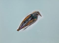 Dead bird (Starling) by Bex Wilkinson
