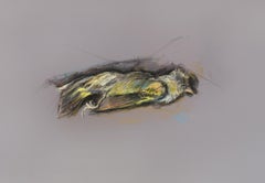 Dead bird XVI by Bex Wilkinson