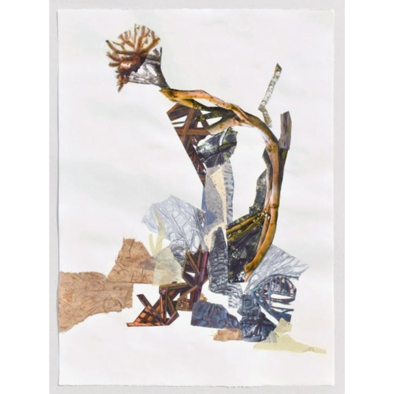 Disegno Desert Bloom di Jennifer Gunlocke, 2024 - Art di Unknown