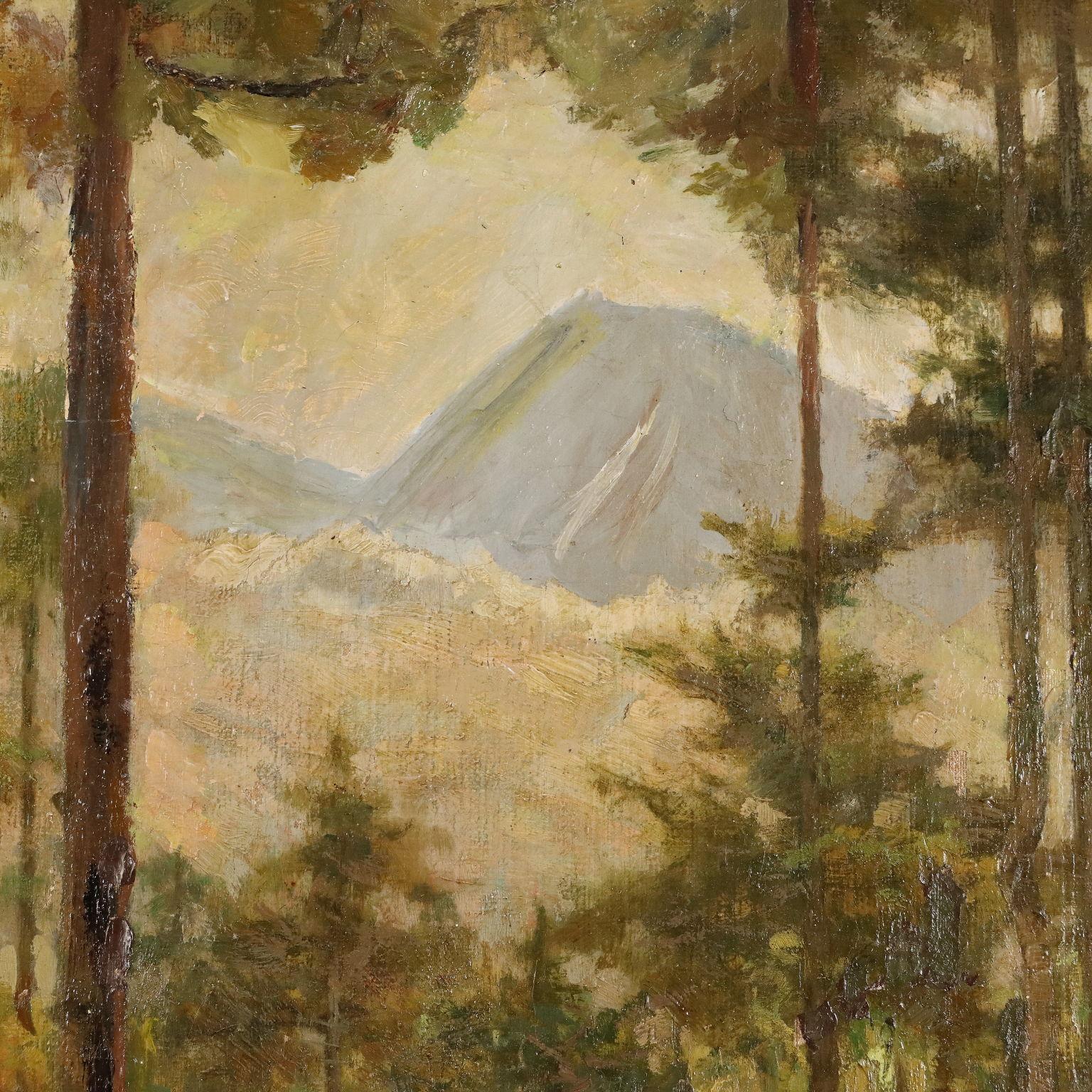 Dipinto Paesaggio boschivo XX secolo For Sale 2