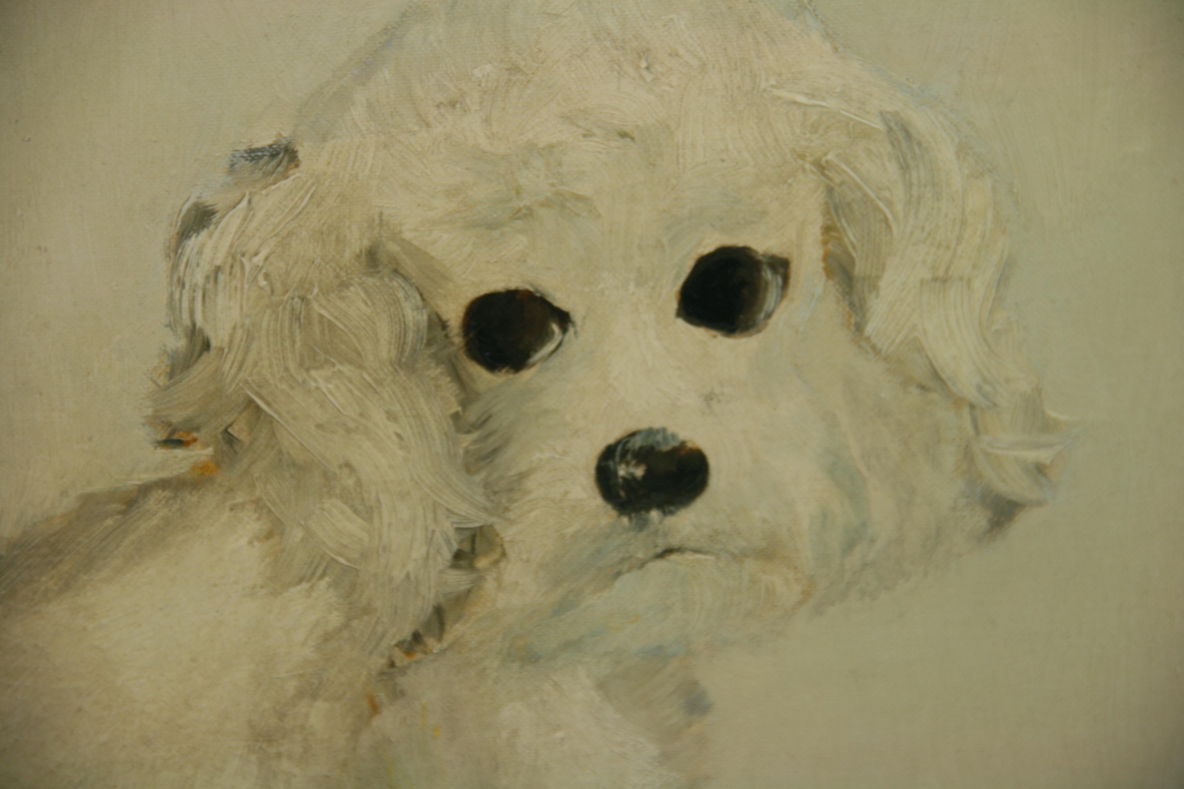 Dog Painting Bichon Frise  acrylic by Theresa Lee 1961 - Brown Animal Painting by Unknown