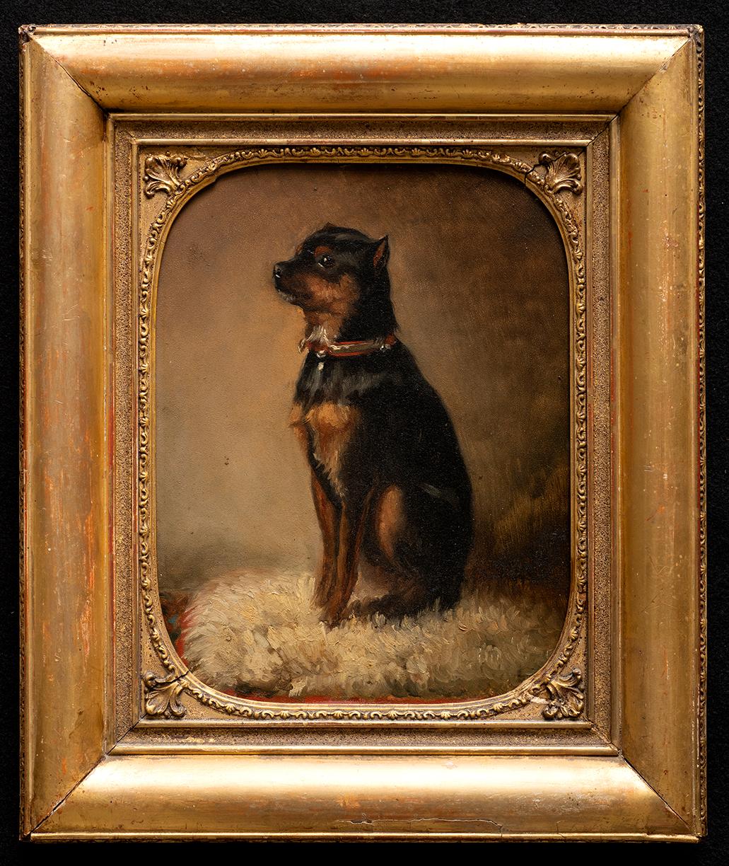 Unknown Portrait Painting - Dog Portrait "Little Moska" Terrier 19th Century