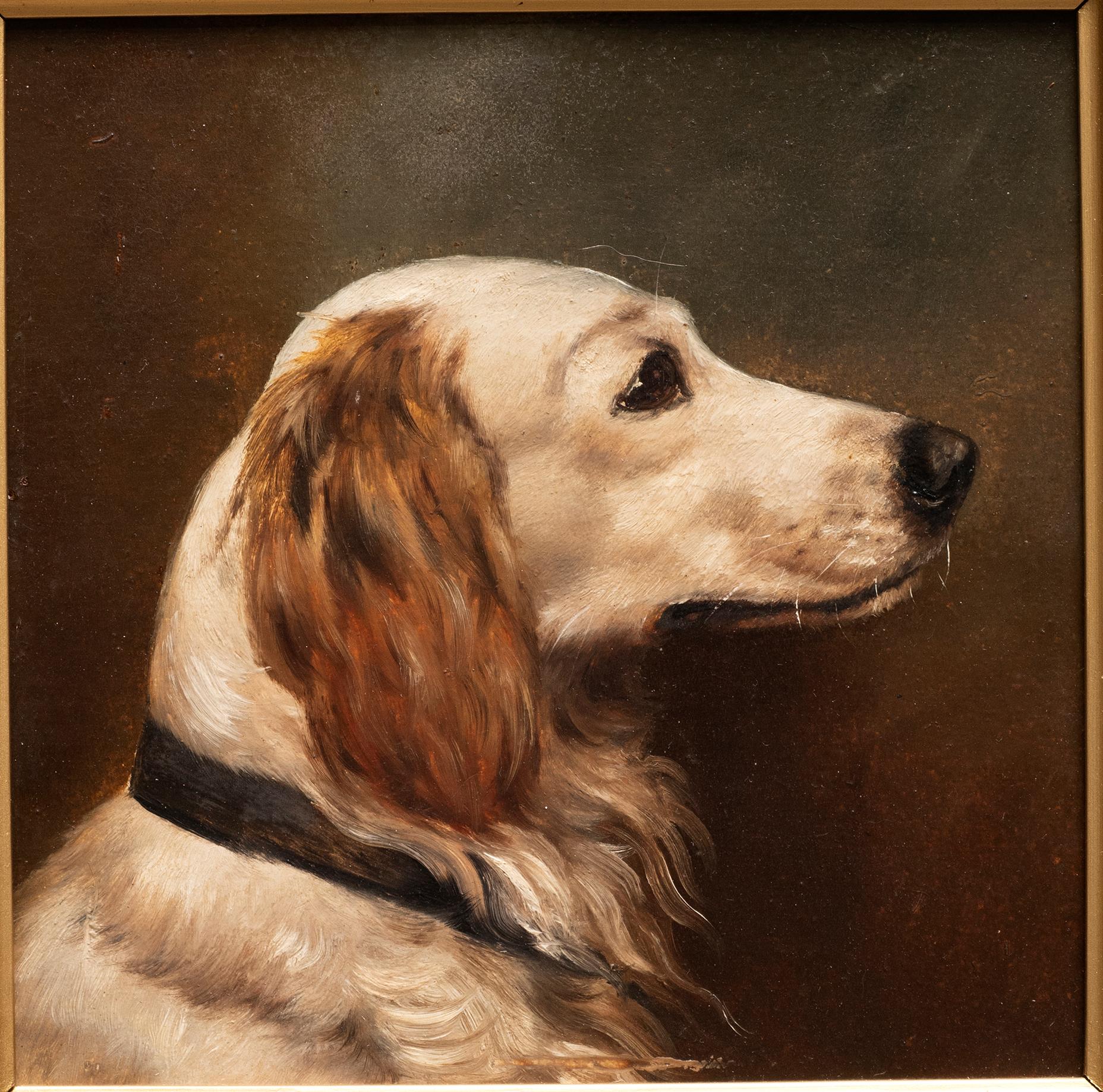 Dog Portrait of a Golden Retriever Circa 1900 - Painting by Unknown