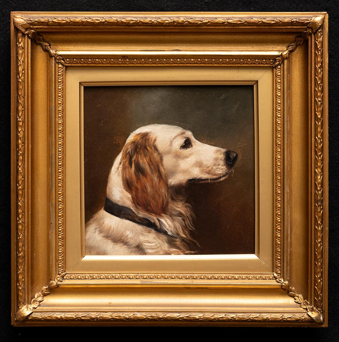 Unknown Animal Painting - Dog Portrait of a Golden Retriever Circa 1900