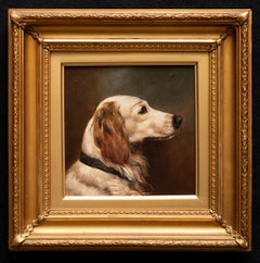 Antique Dog Portrait of a Golden Retriever Circa 1900