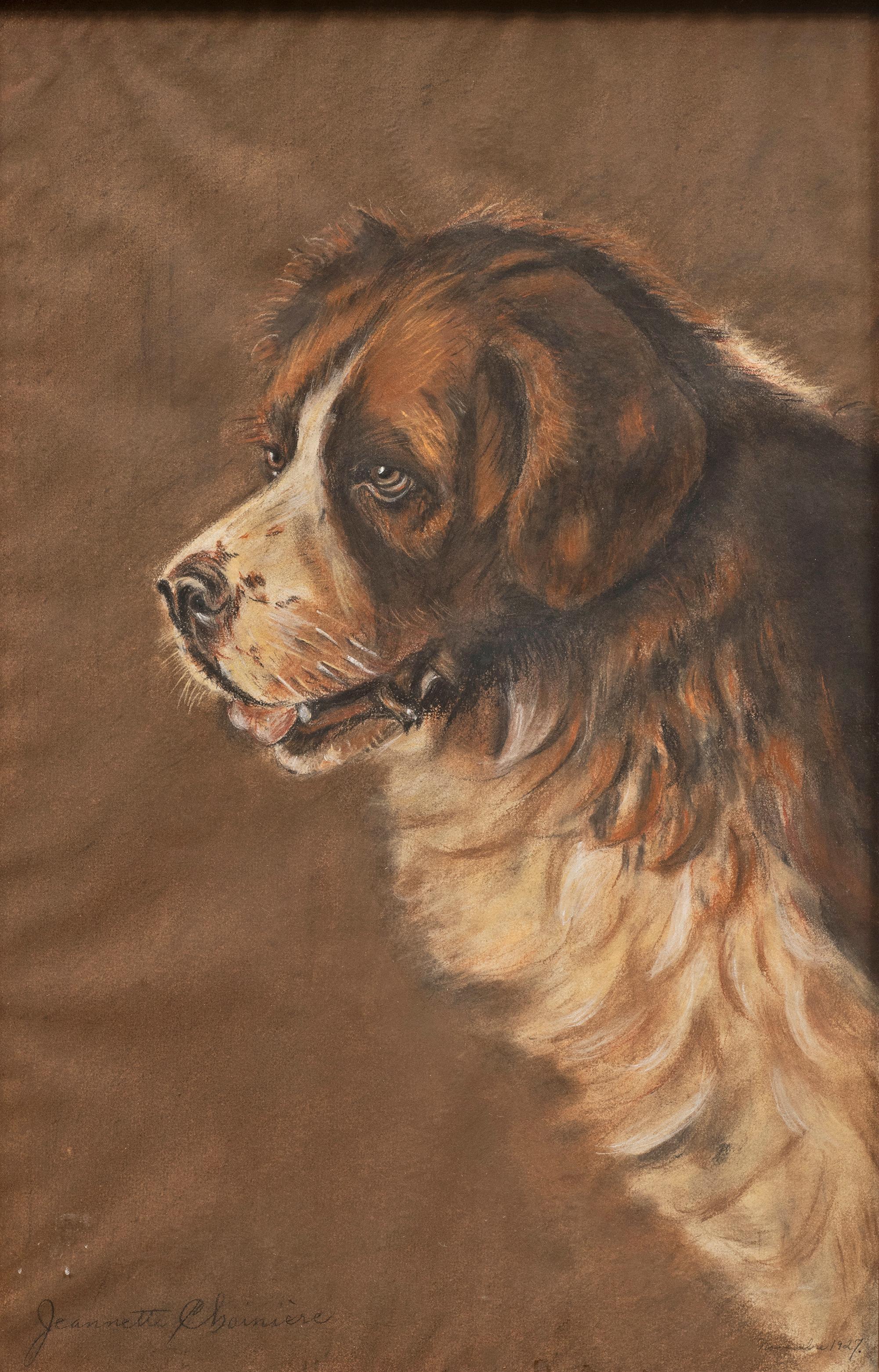 Pastel Dog Portrait of a Saint Bernard 1920s - Painting by Unknown