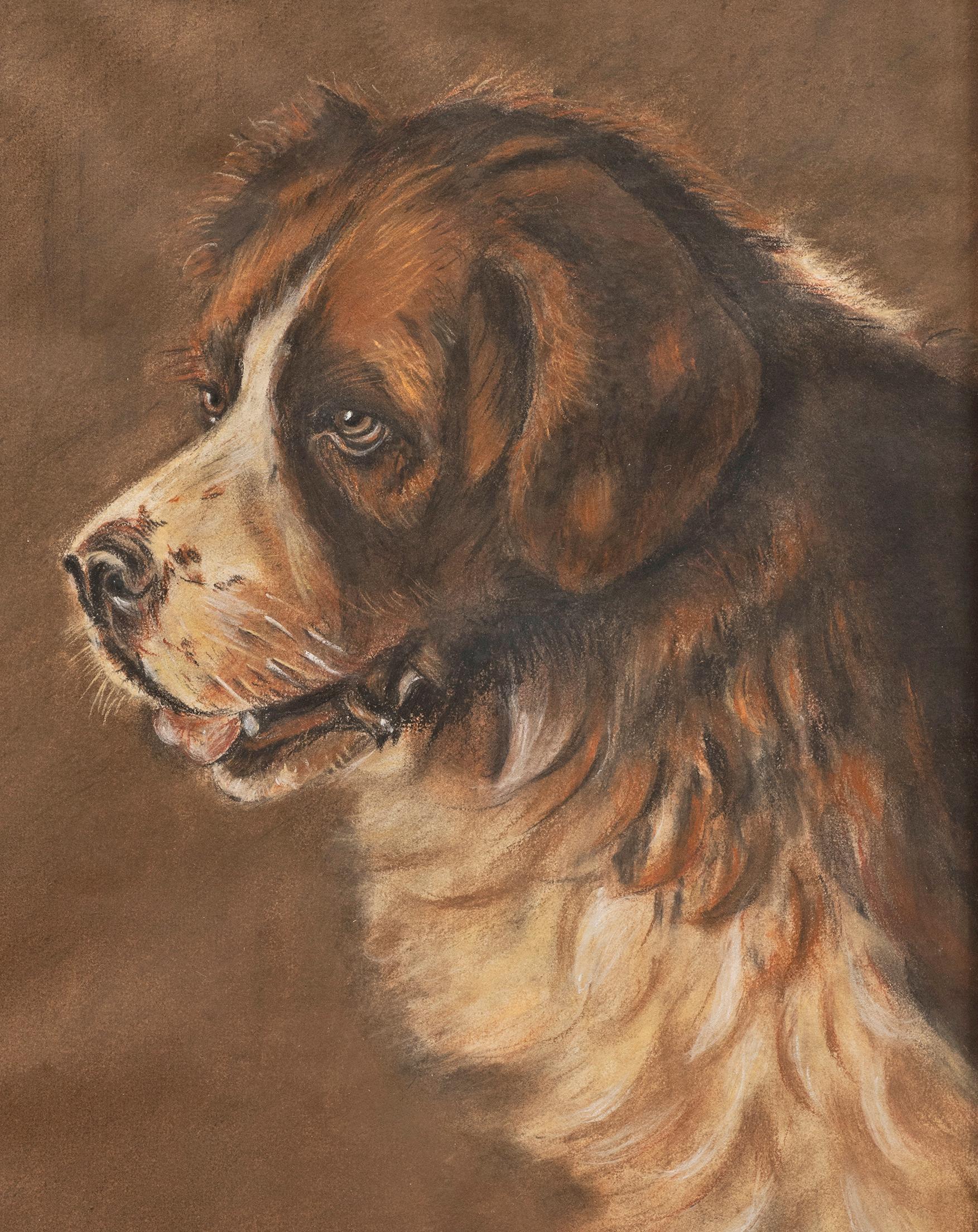 pastel dog portraits