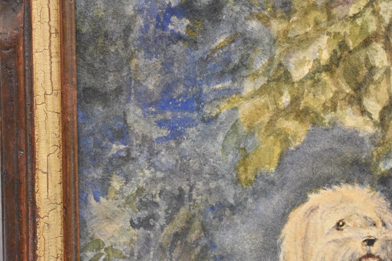 Unknown Dog Realist Naturalist Classic Watercolor For Sale At 1stdibs