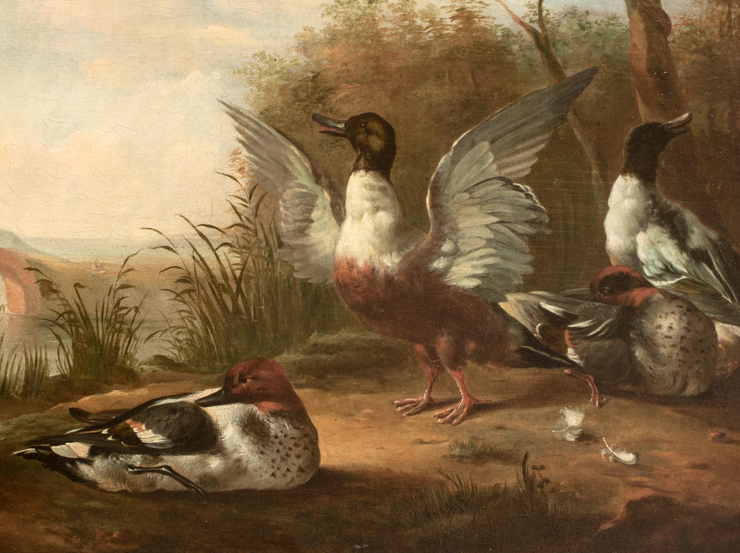 Ducks On The Riverbank, 17e siècle MARMADUKE CRADOCK (1660-1717) en vente 1