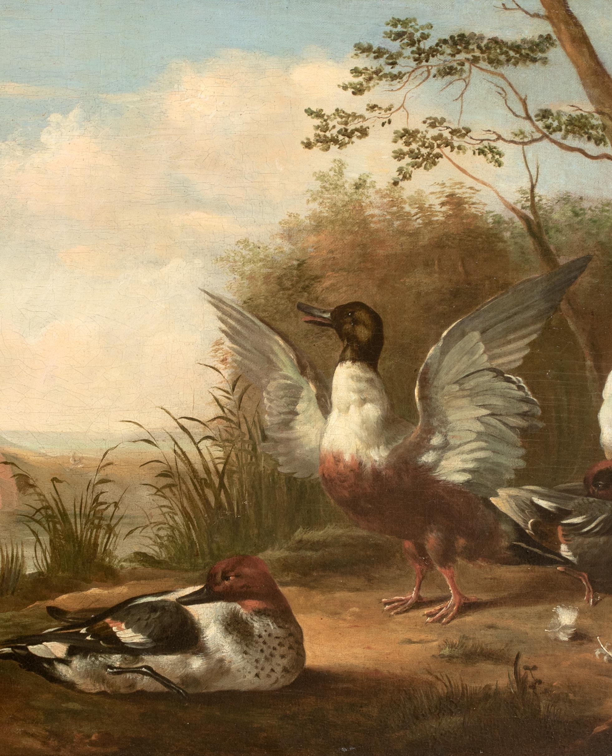 Ducks On The Riverbank, 17e siècle MARMADUKE CRADOCK (1660-1717) en vente 3