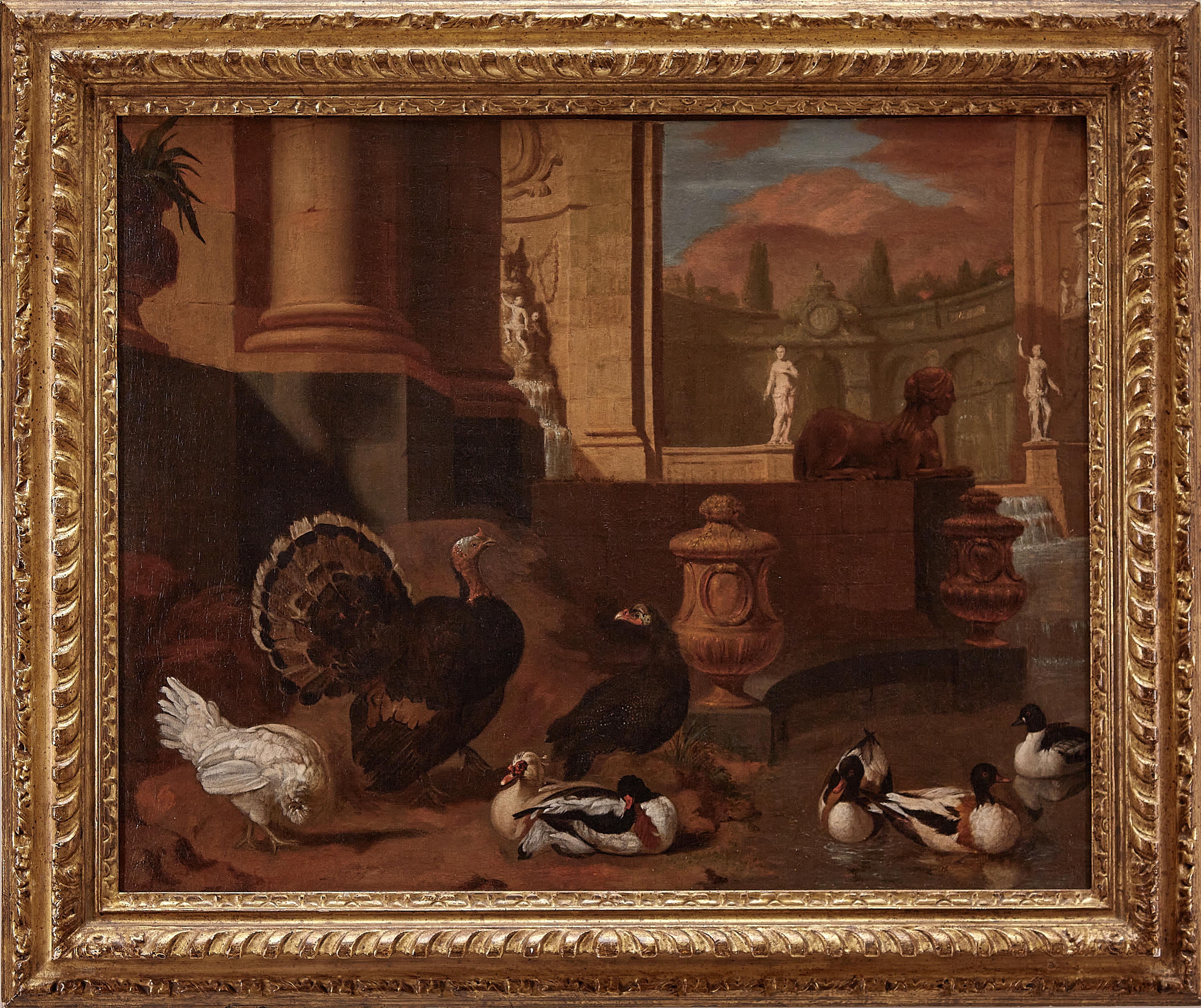 Dutch 18th century painting of birds and ornamental fowl with classical ruins