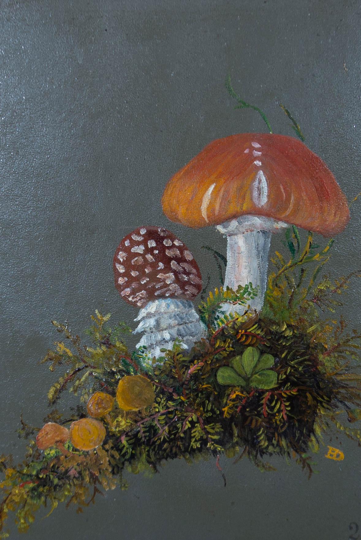 E. D - Signed & Framed Early 20th Century Oil, Still life of Fungi - Painting by Unknown
