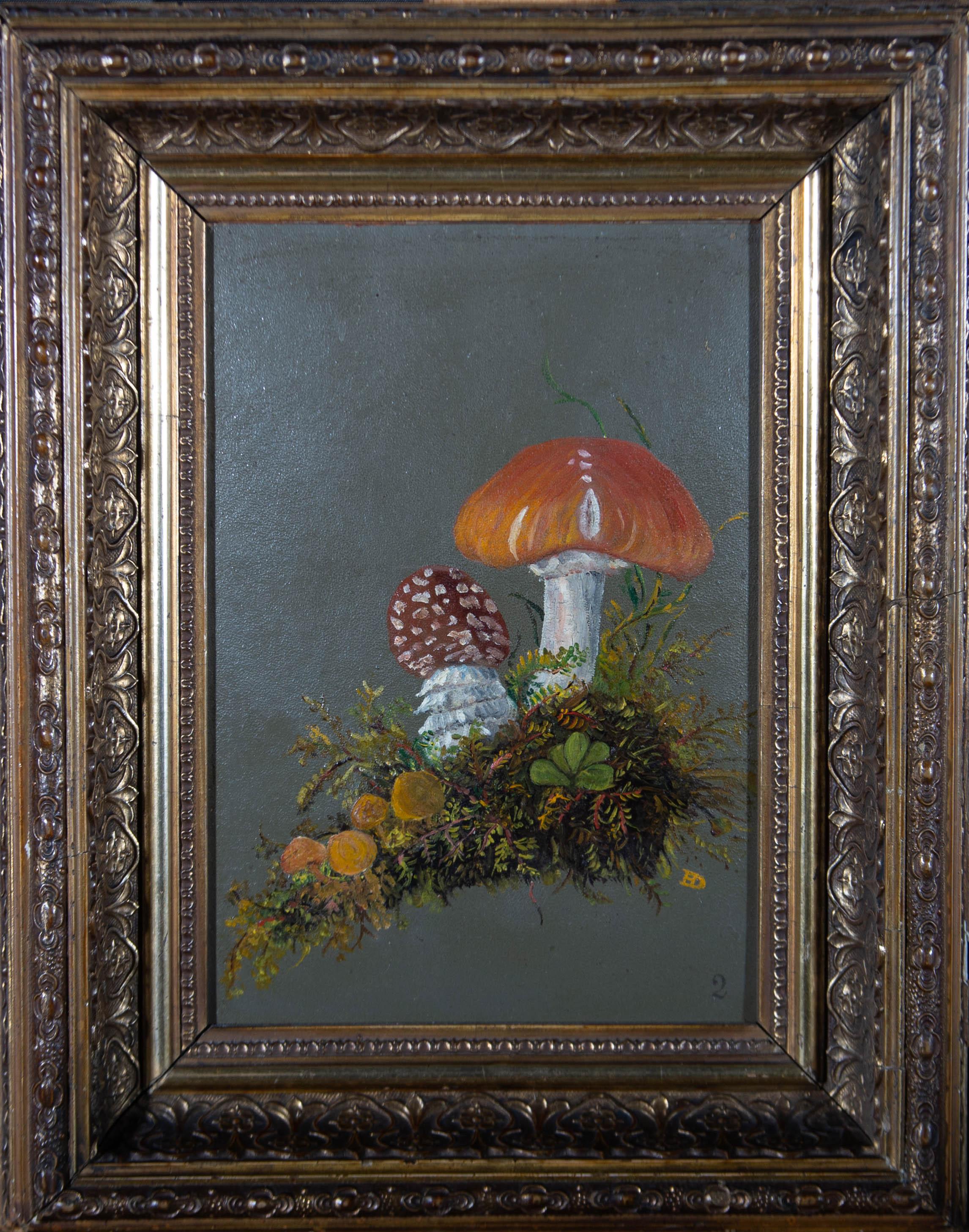 Unknown Still-Life Painting - E. D - Signed & Framed Early 20th Century Oil, Still life of Fungi