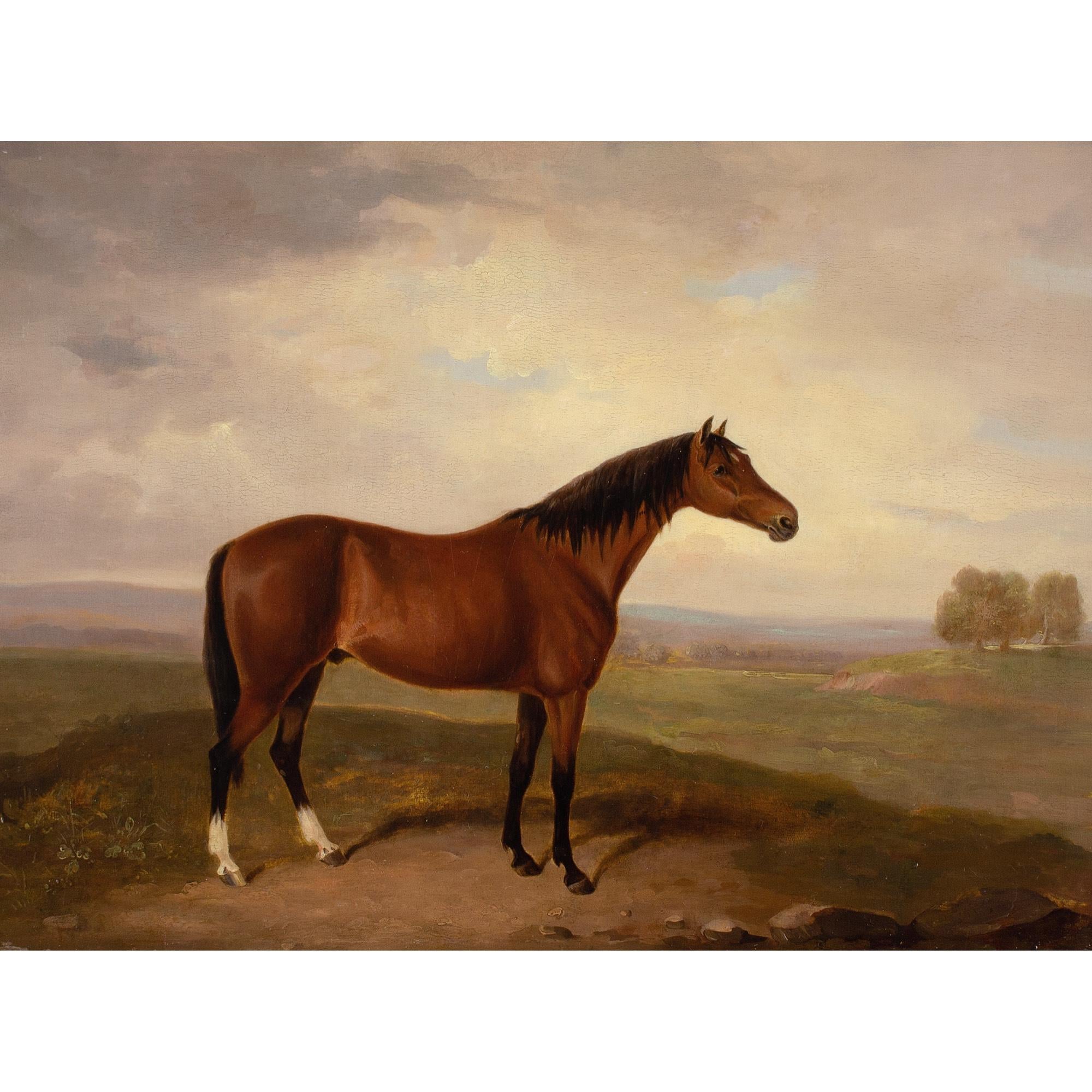 Early 19th-Century English School, Bay Horse In A Landscape - Painting by Unknown