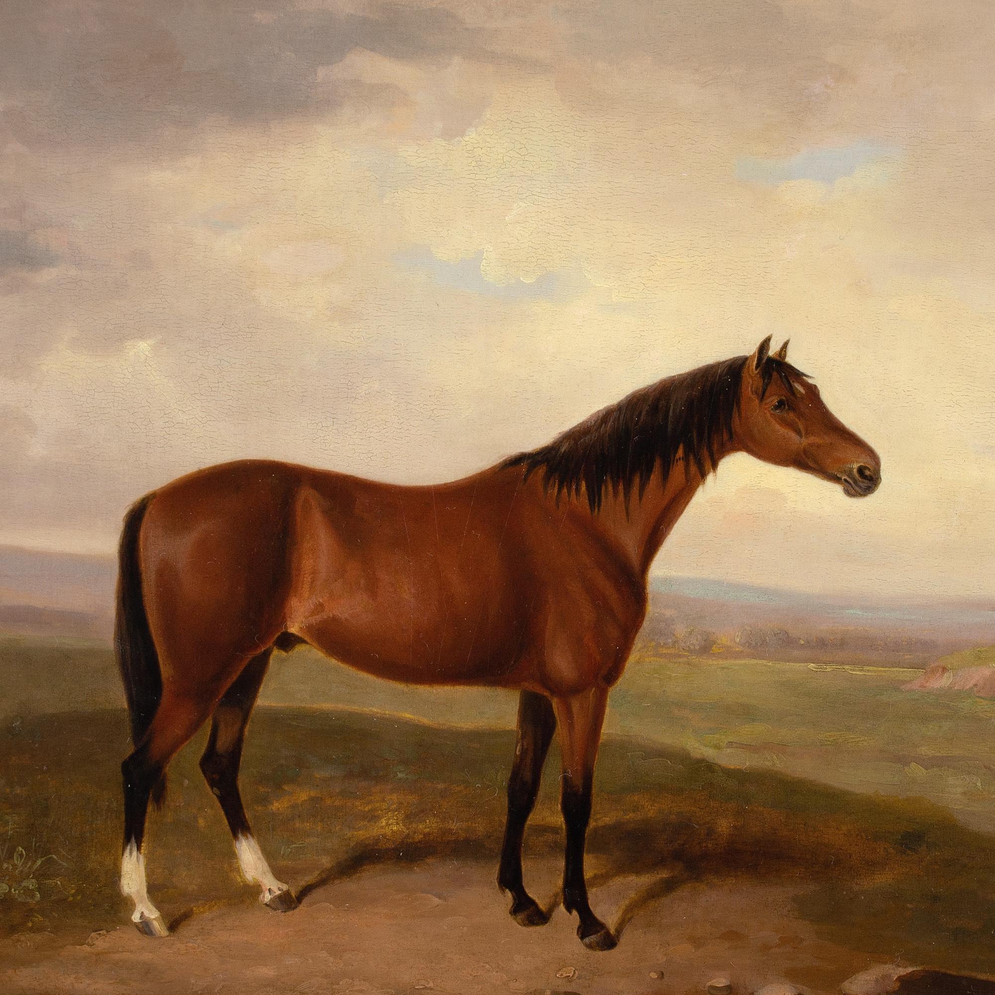 Early 19th-Century English School, Bay Horse In A Landscape For Sale 2