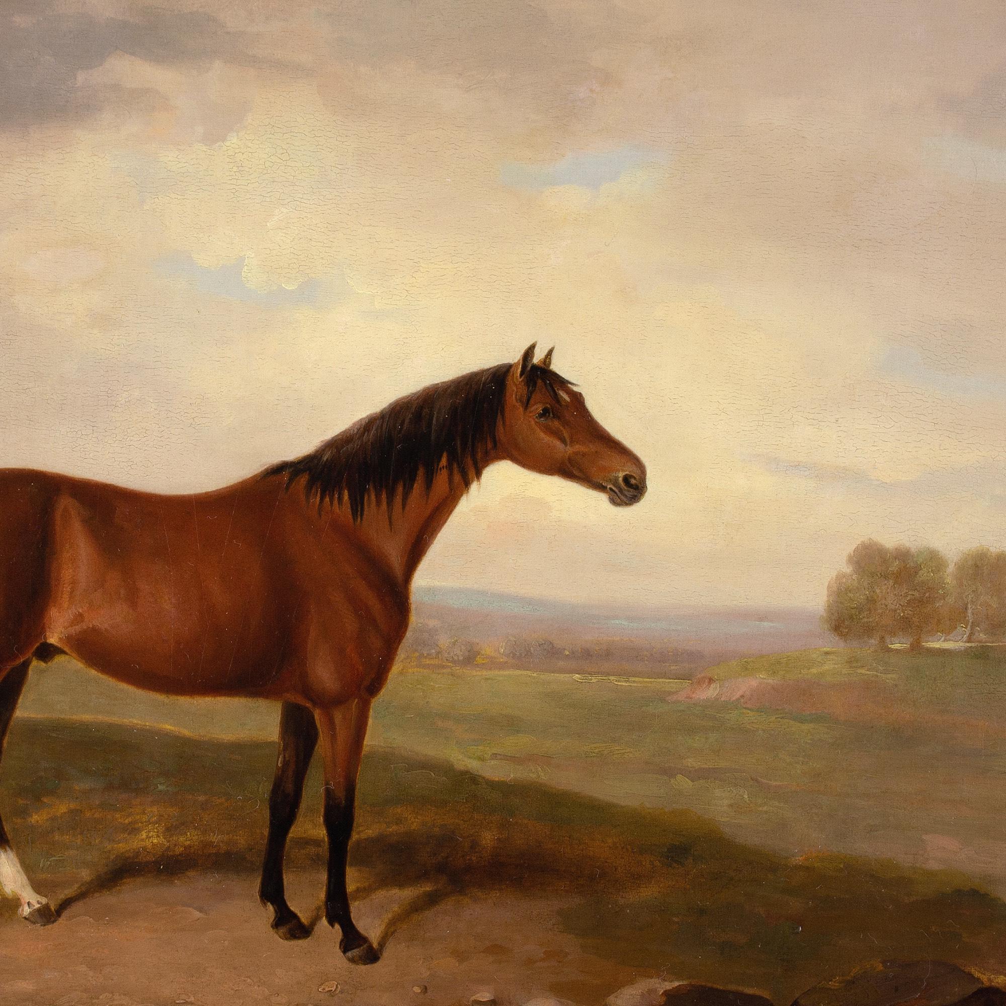 Early 19th-Century English School, Bay Horse In A Landscape For Sale 3