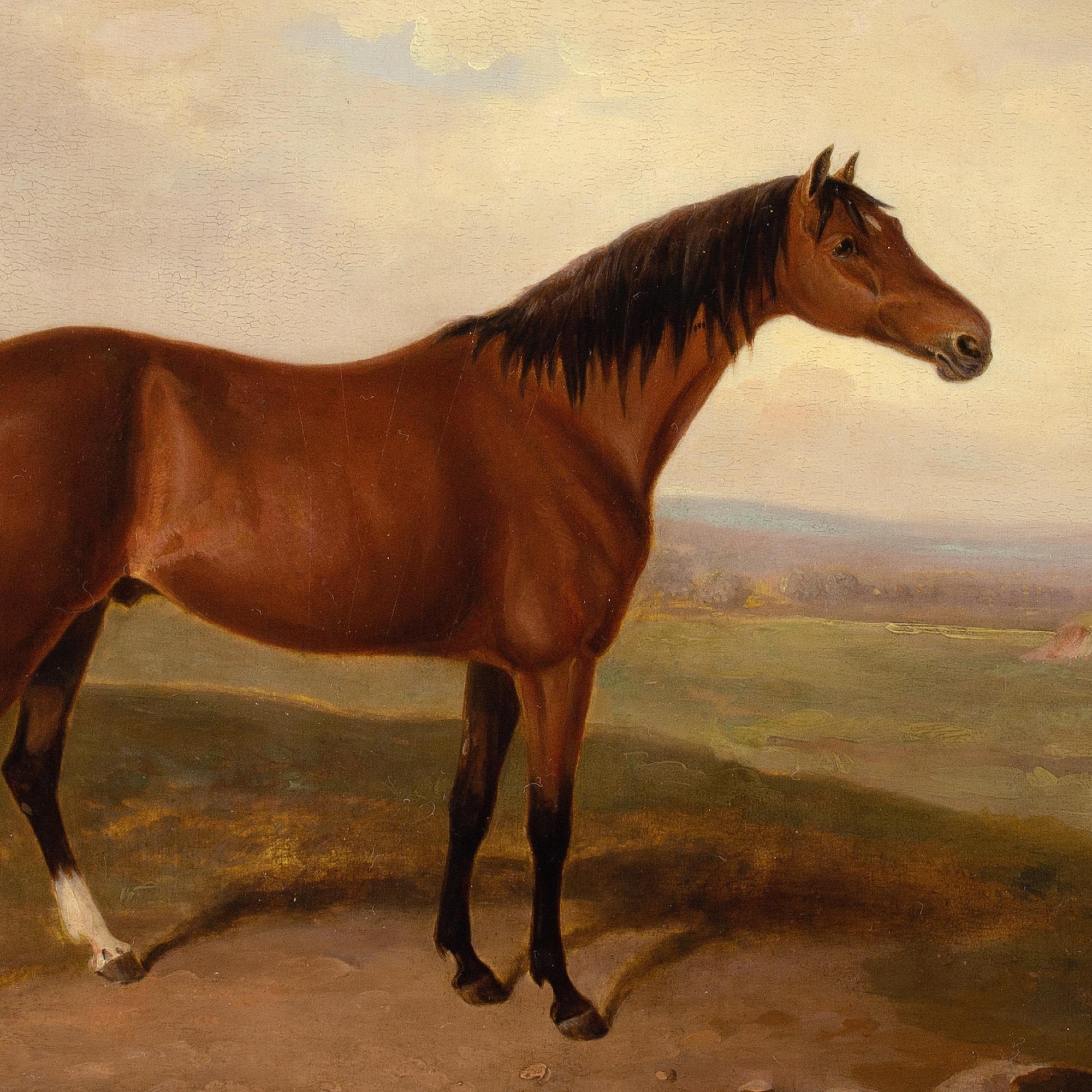Early 19th-Century English School, Bay Horse In A Landscape For Sale 4