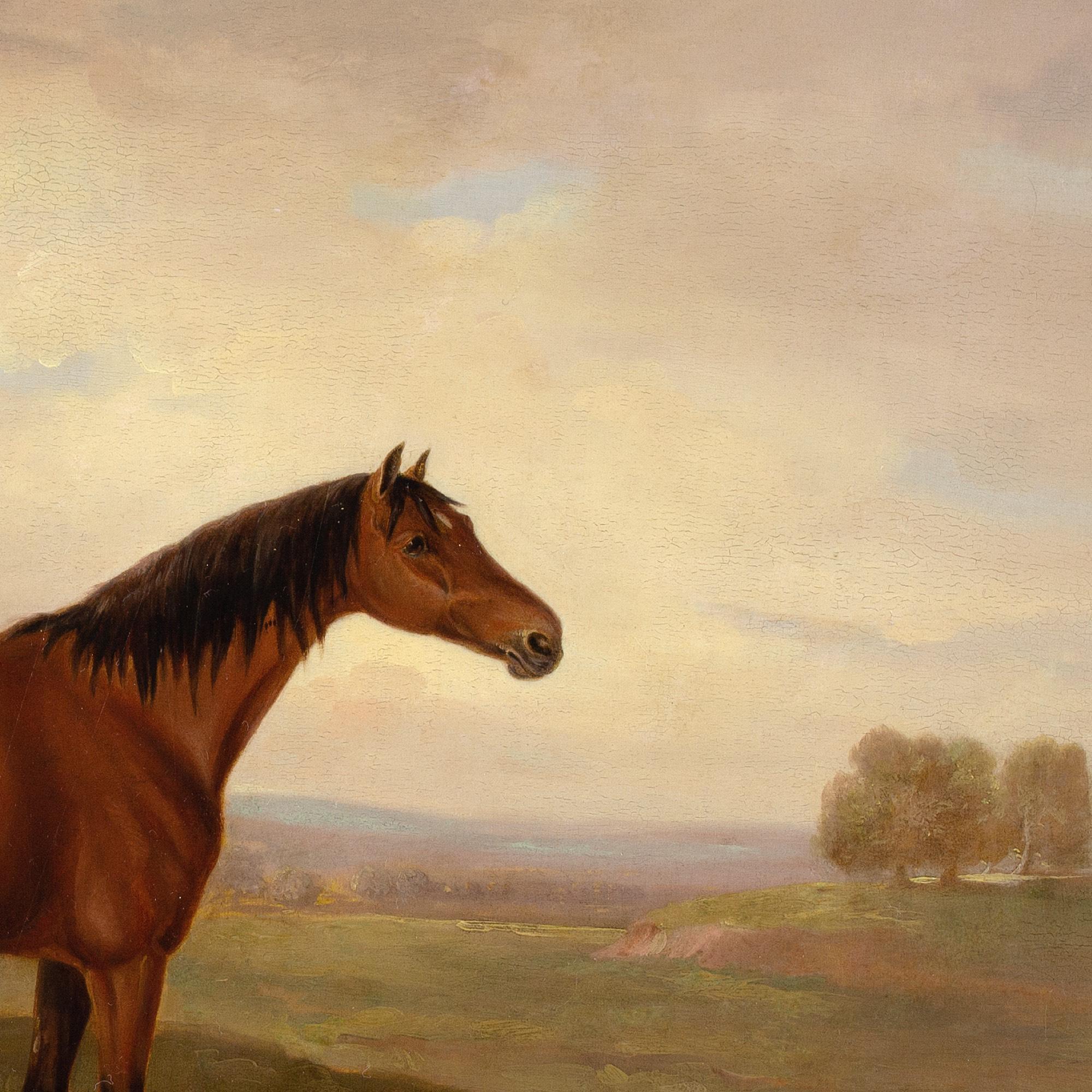 Early 19th-Century English School, Bay Horse In A Landscape For Sale 5
