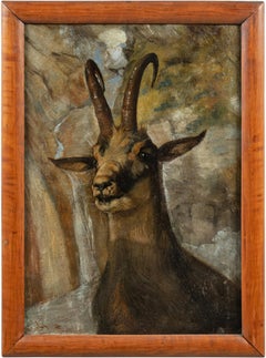 Early 20th century Italian Alps animal painting - Ibex - Oil on canvas  Signed