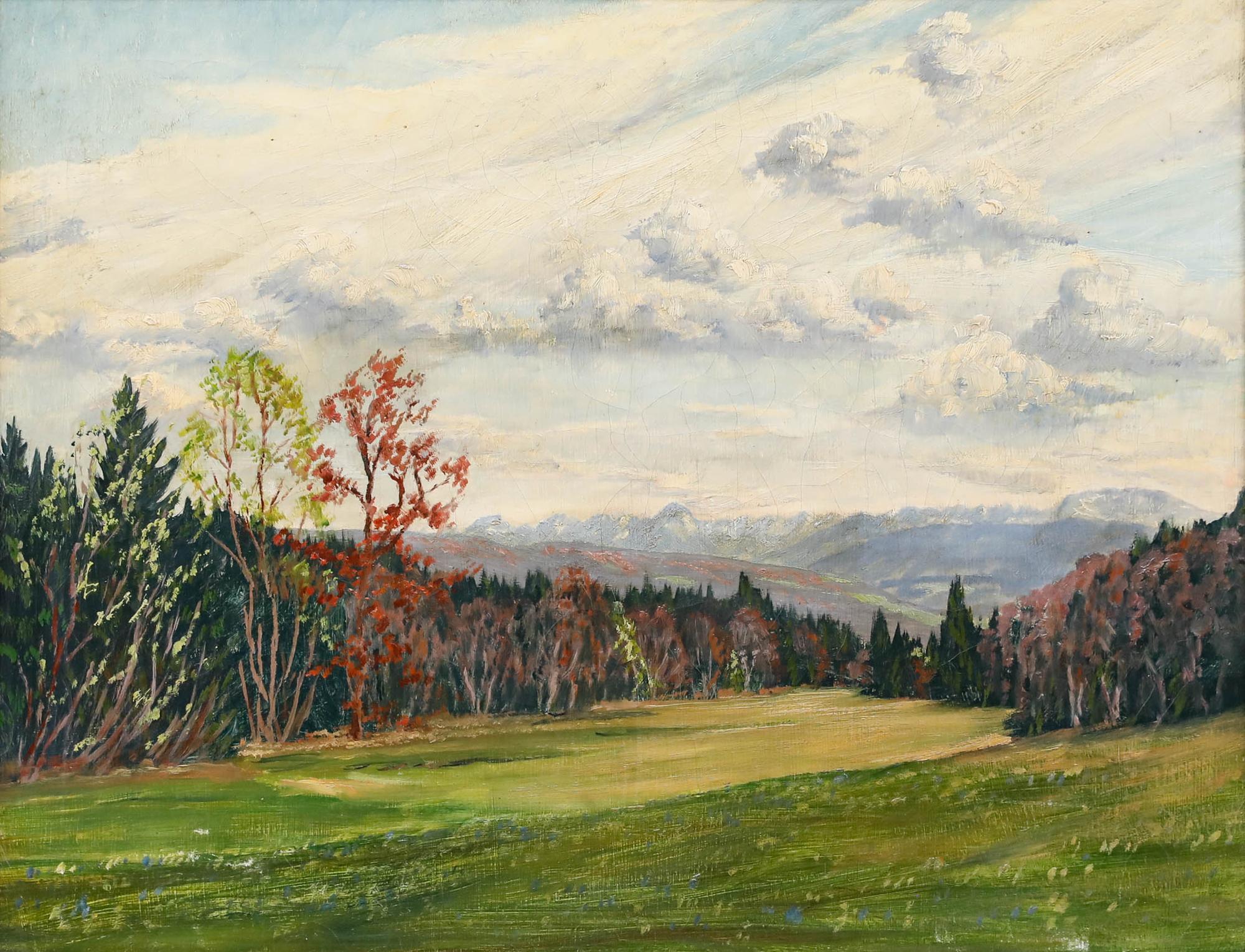 Early 20th Century Oil - A View of the Forest Edge - Painting by Unknown