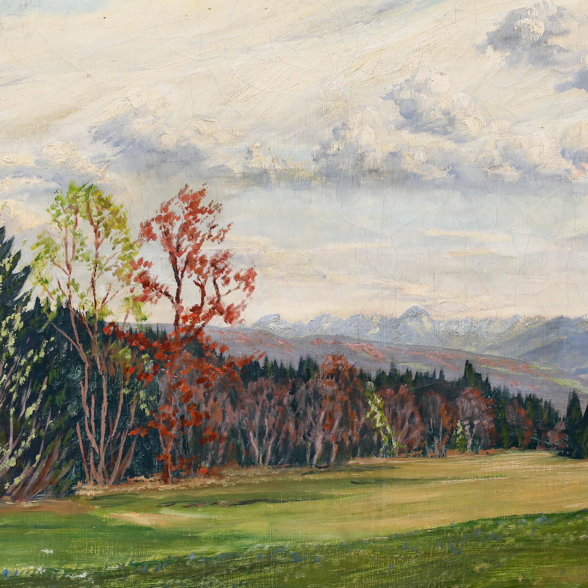 This charming early 20th century landscape captures the serene beauty of a mountainous wilderness, with a sweeping meadow in the foreground giving way to dense forests and distant peaks. With areas of light impasto. Signed indistinctly to the