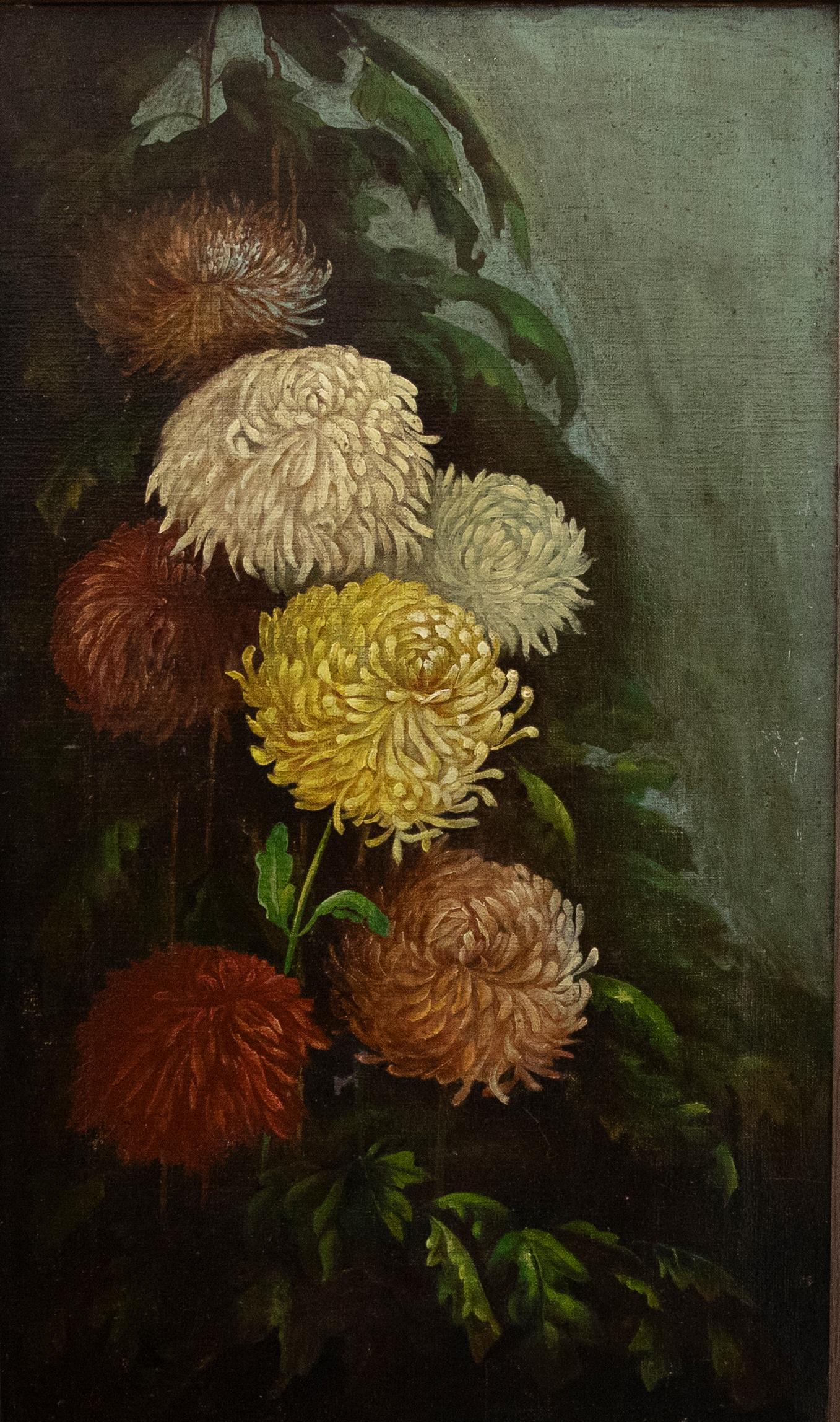 Early 20th Century Oil - Chrysanthemums - Painting by Unknown