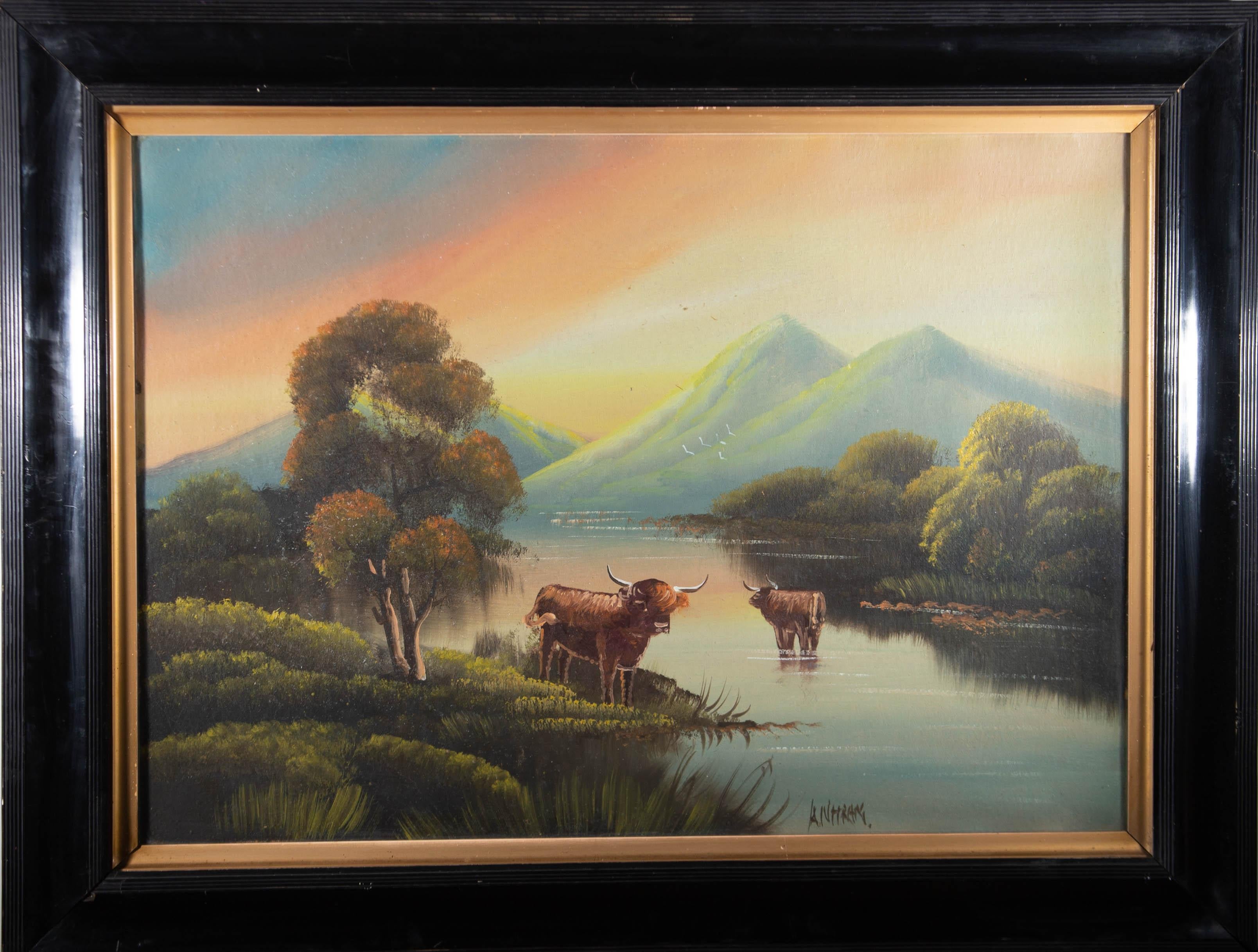 Early 20th Century Oil - Cows In The Shallows - Painting by Unknown