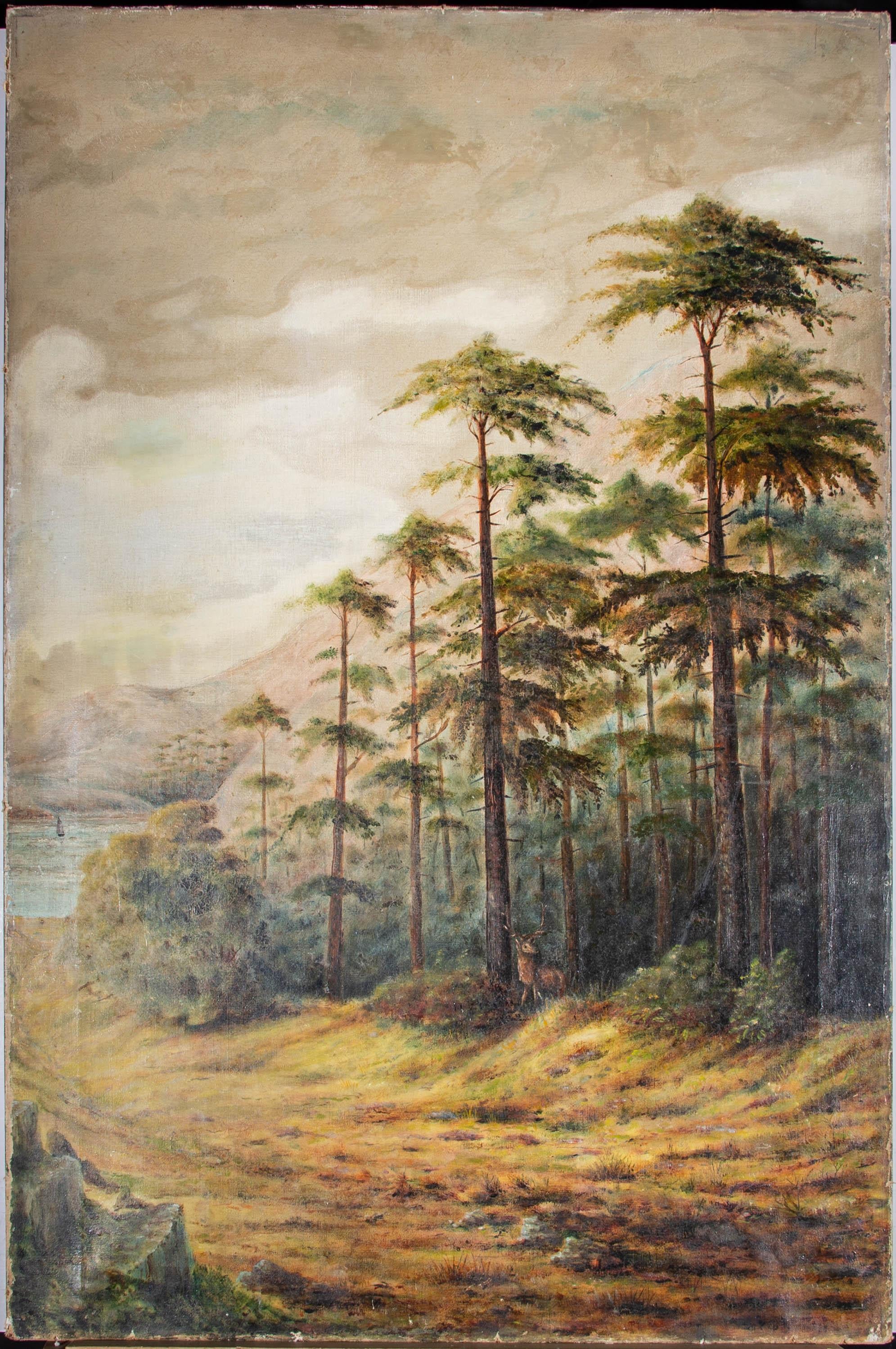 Early 20th Century Oil - Forest Deer - Painting by Unknown