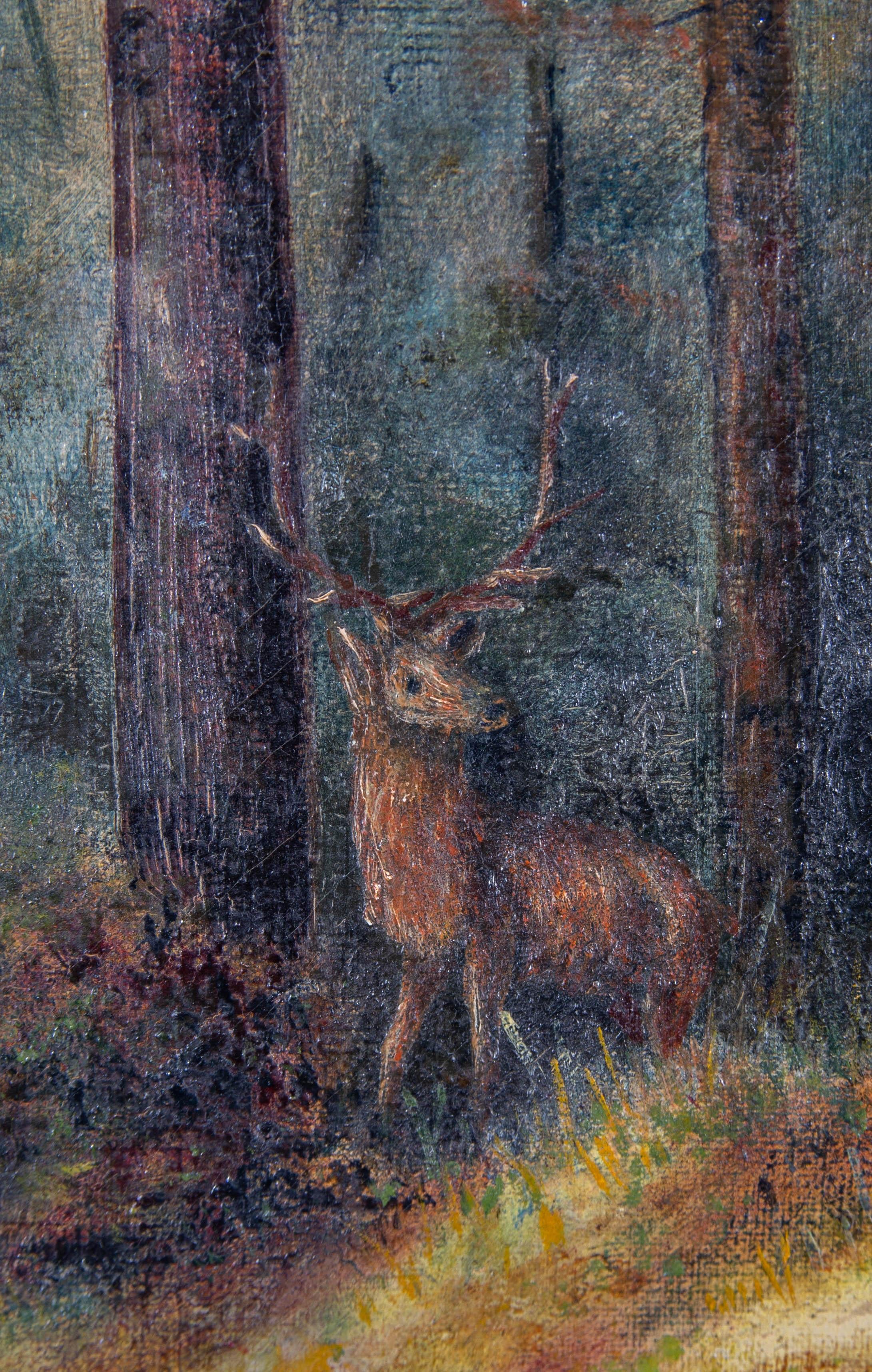 Early 20th Century Oil - Forest Deer For Sale 1