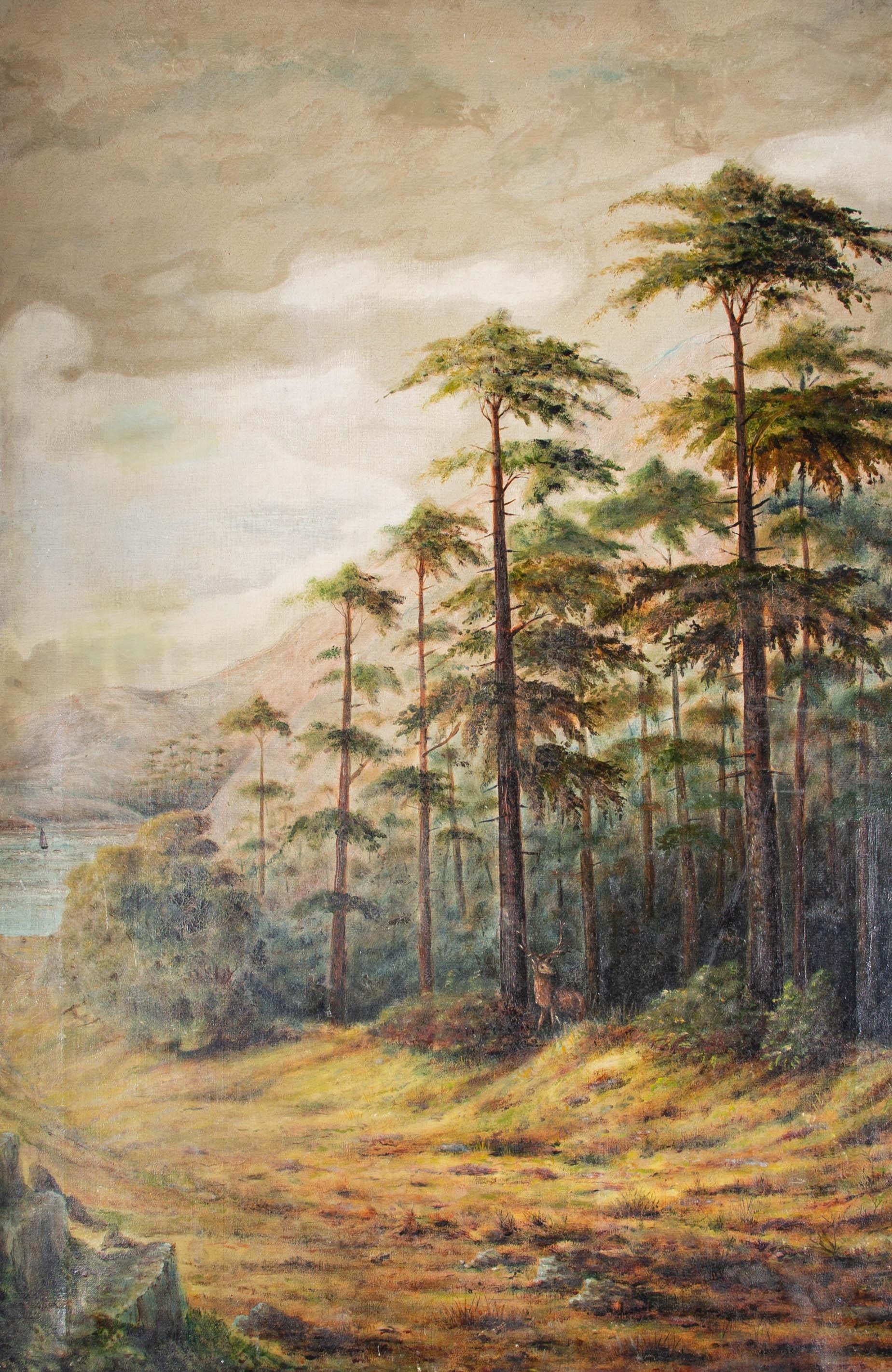 Landscape Painting Unknown - Huile du début du XXe siècle - Cerf de la forêt