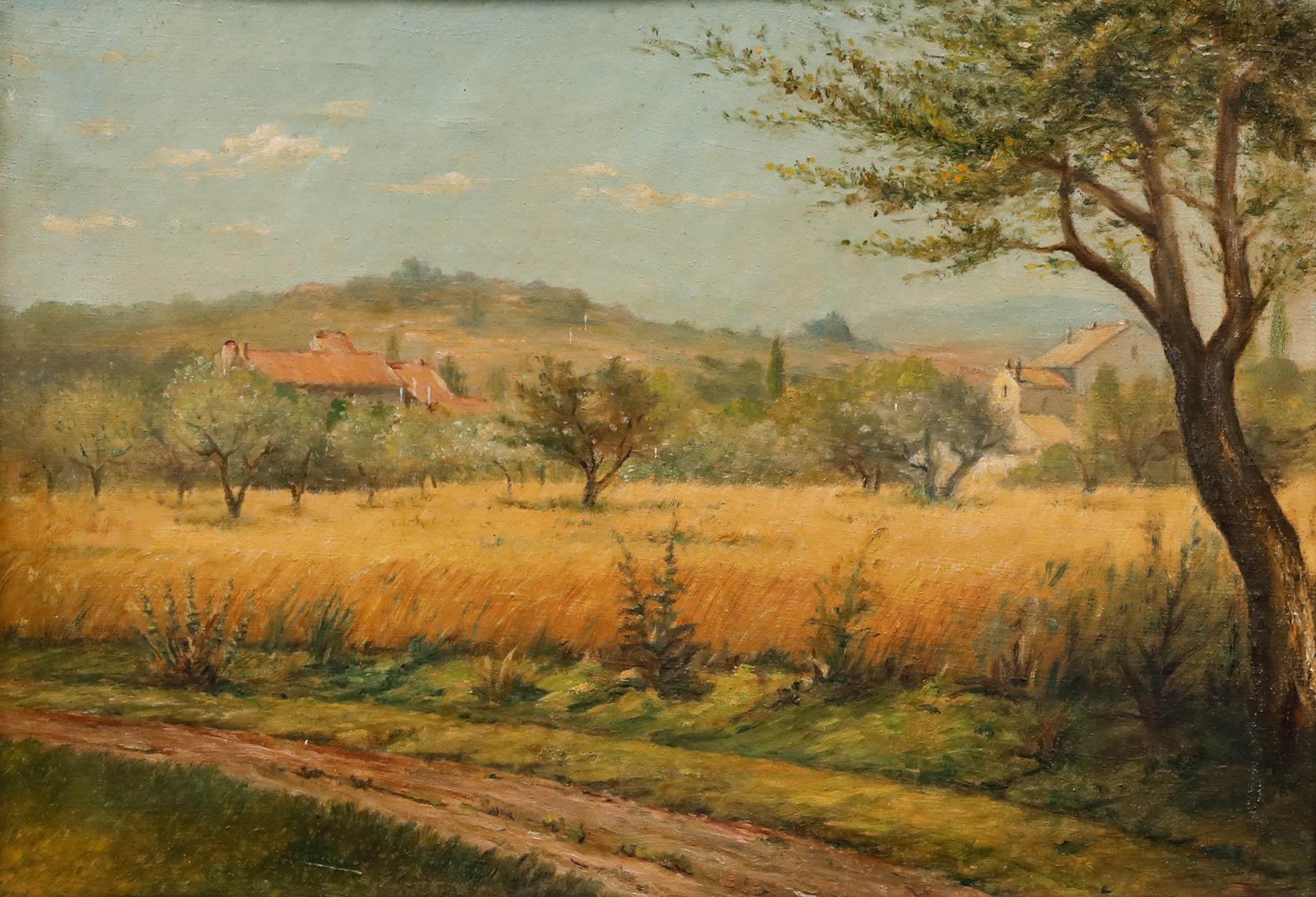 Ölgemälde des frühen 20. Jahrhunderts – Ansicht der Olivenhaine – Painting von Unknown