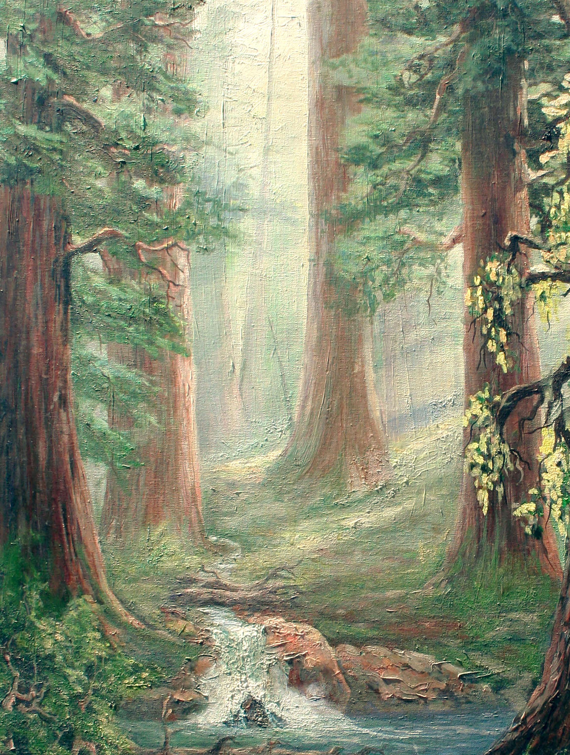 redwood forest art