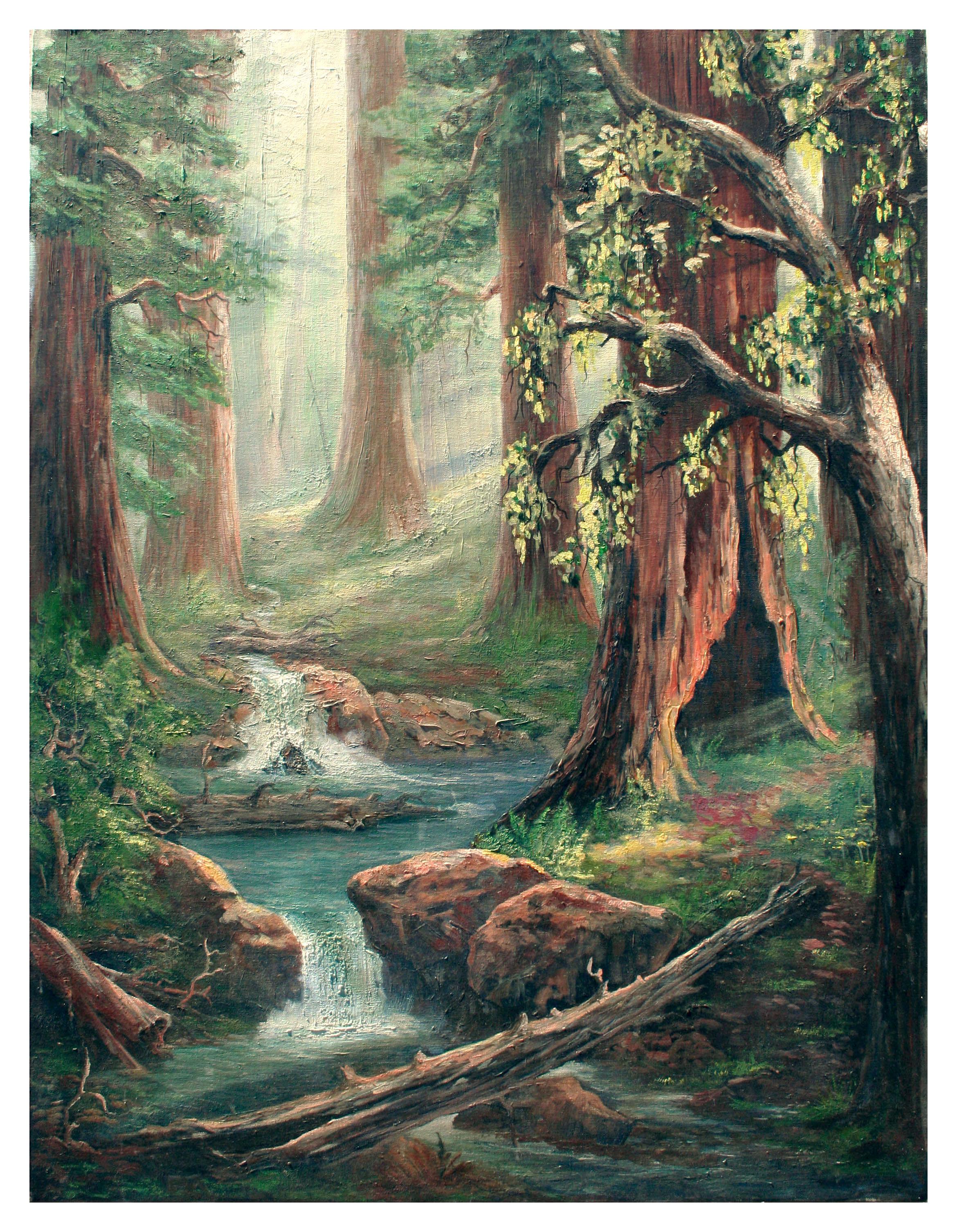 Mid Century Enchanted Redwood Forest Landscape 