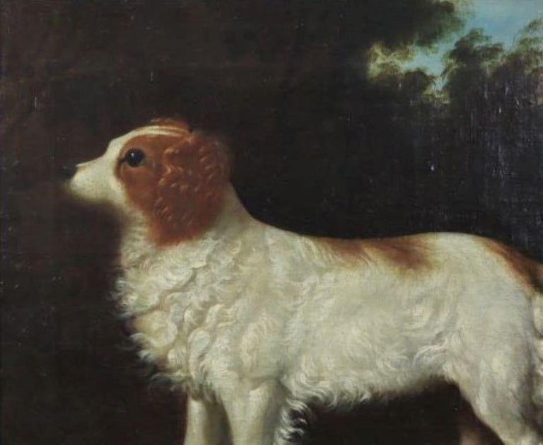 English 18th century portrait of a water spaniel standing in a landscape. 
This charming painting is a wonderful example of the style of English dog painting made popular by artists such as George Stubbs and other sporting artists working in England