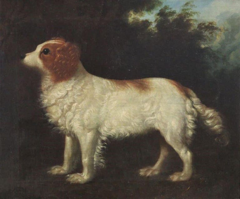Unknown Portrait Painting - English School 18th century portrait of a spaniel
