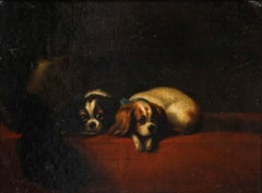 English School Mid 19th Century Oil - King Charles Spaniels