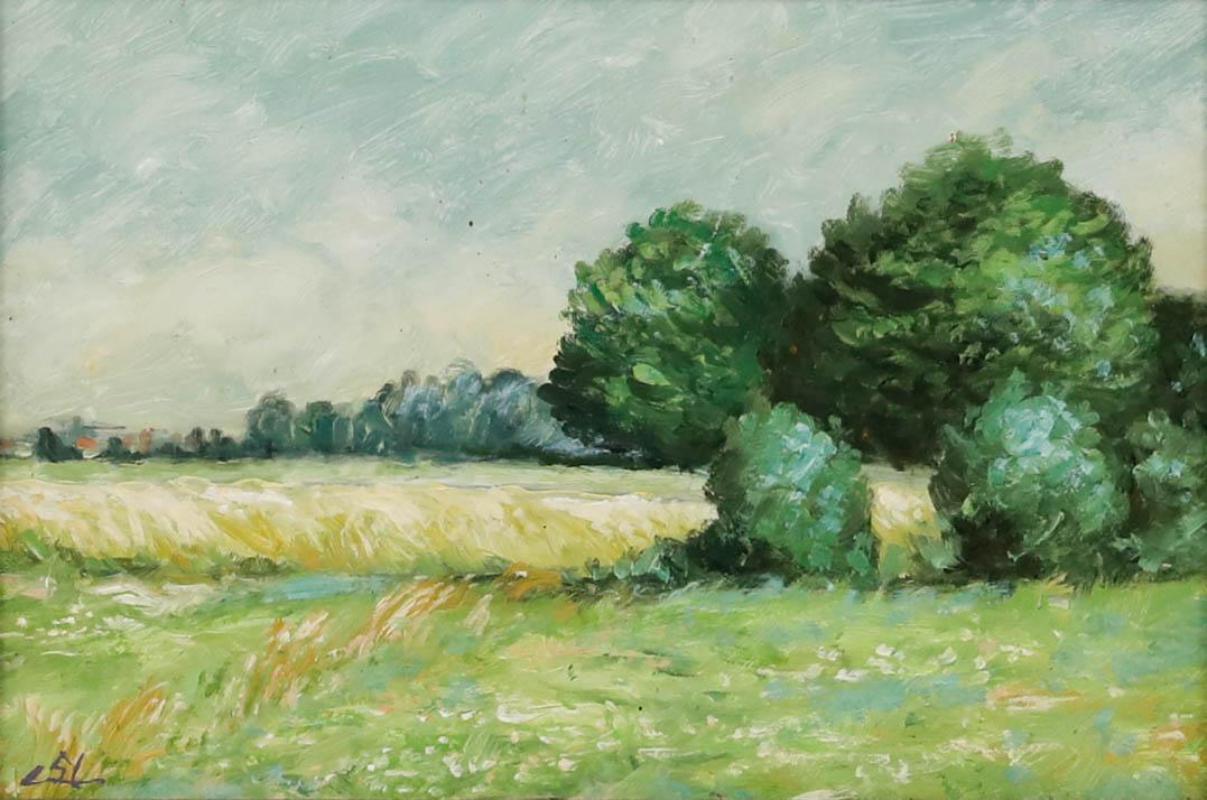 Erwin Steinhauser (1939-2023) - Acrilico del XX secolo, Prato estivo - Painting di Unknown