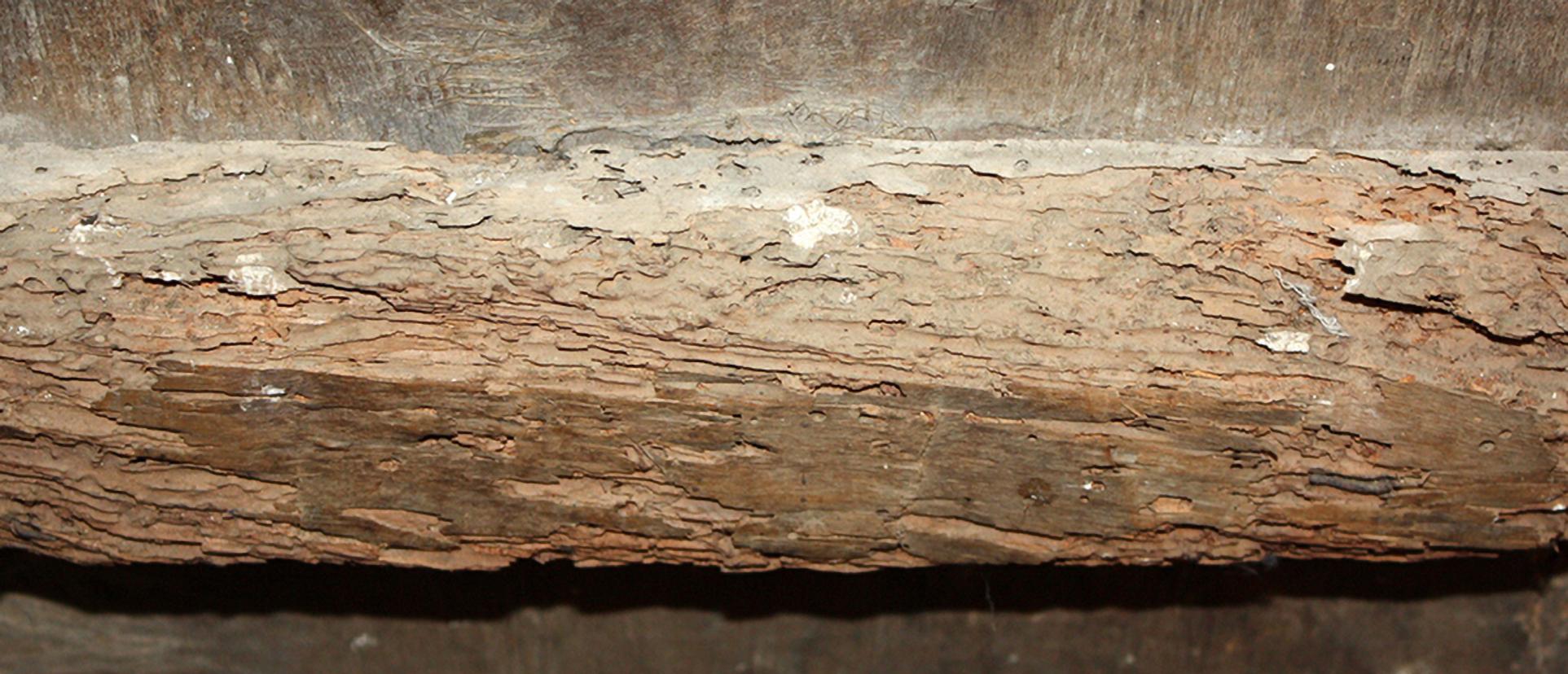 Escuela española (XVII) - Óleo sobre tabla - San Domingo Guzmán im Angebot 7