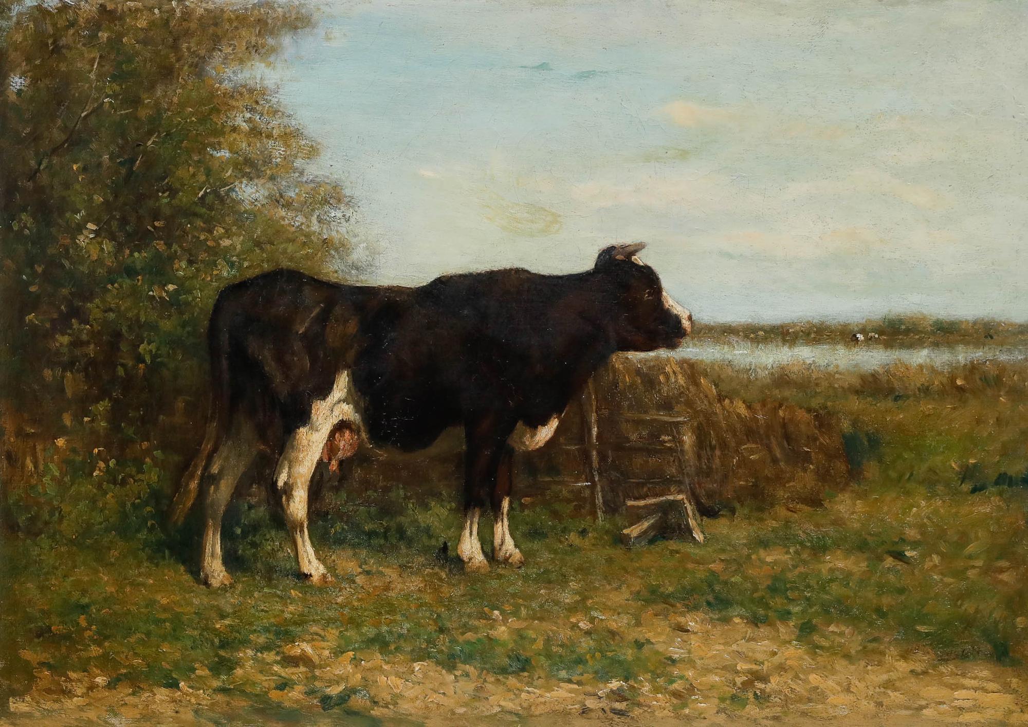 European  19th Century Oil - Study of a Cow - Painting by Unknown