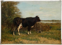 European  19th Century Oil - Study of a Cow