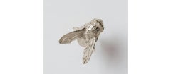 Extinction Anxiety (Silver) Sculpture de Heidi Schwegler, 2017