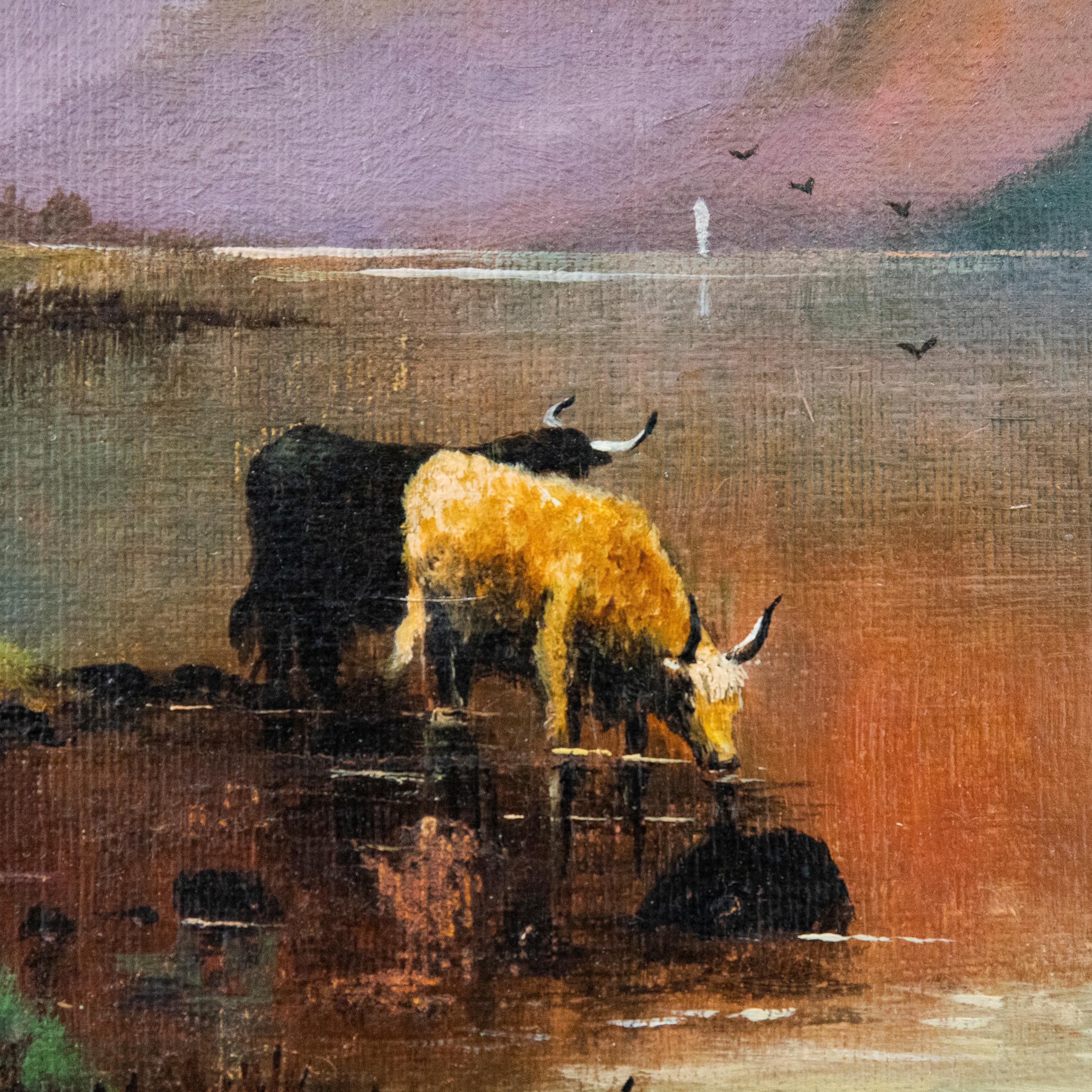 A naive Edwardian oil of highland cattle, watering ina Scottish loch. Signed and dated to the lower left. Presented in an oval gilt mount. On canvas laid to board. 