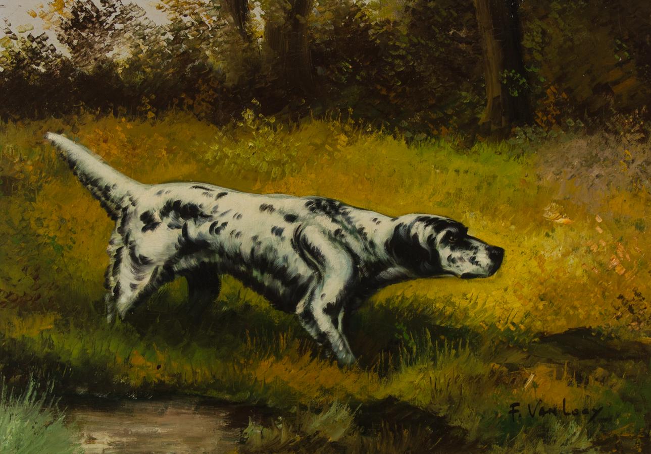 F. Van Loay - Framed Mid 20th Century Oil, Study of a Black & White Setter - Painting by Unknown