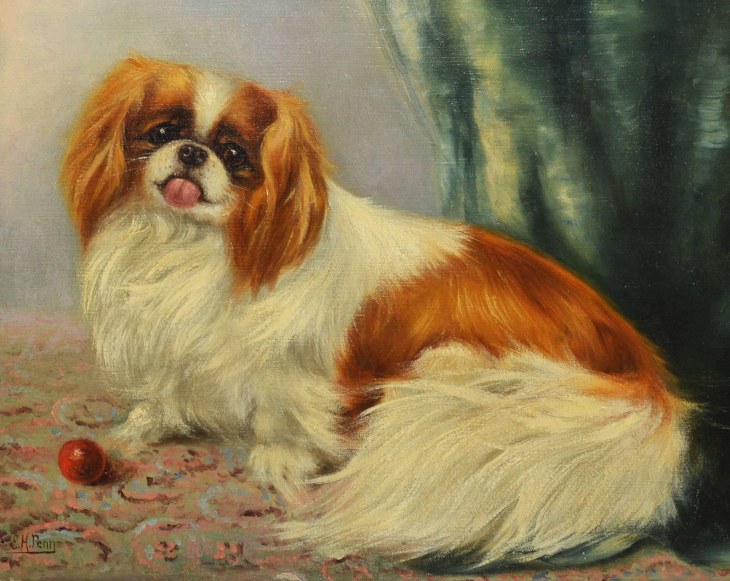 fancy dog portrait