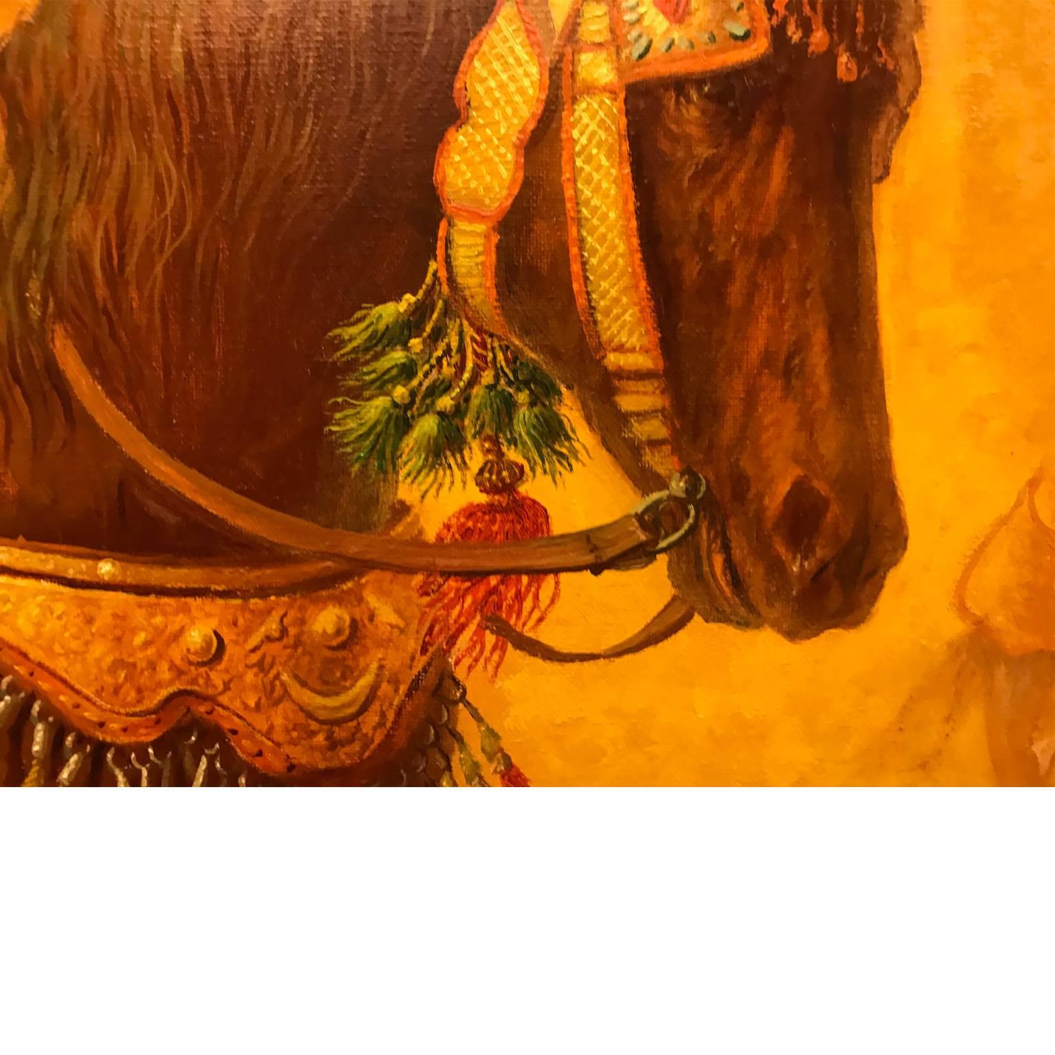 moroccan fantasia horses